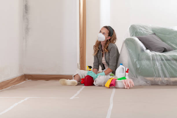 Reliable Mold Removal contractor in Georgia, GA by WQB Mold Removal
